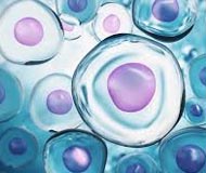 Terapia Regenerativa Y Plasma Rico En Plaquetas Salud Plena Alternativa Ibague
