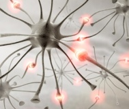 Terapia Neural Salud Plena Alternativa Ibague